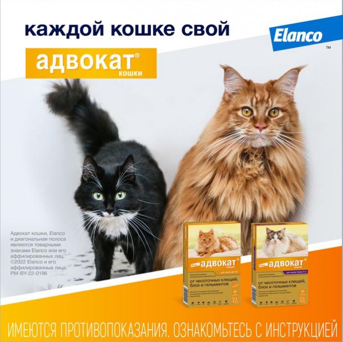 Elanco Адвокат капли на холку для котят и кошек до 4 кг, от клещей и блох