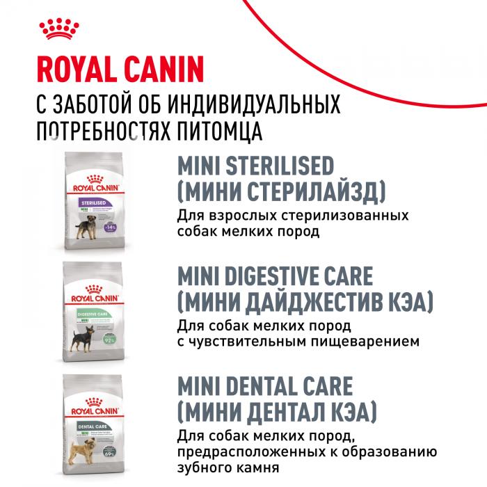 Royal Canin корм для взрослых собак породы Померанский Шпиц