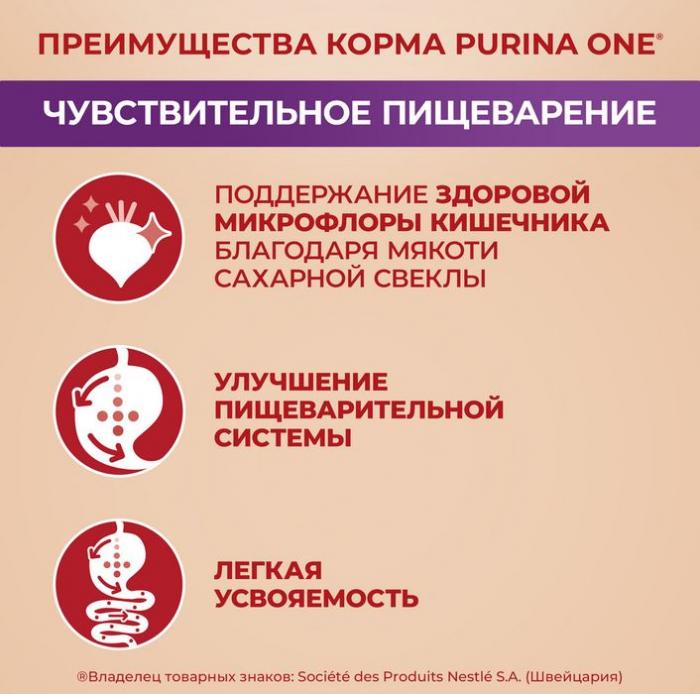 Сухой корм Purina ONE® Мини Чувствительная для взрослых собак мелких пород с чувствительным пищеварением, с лососем и рисом
