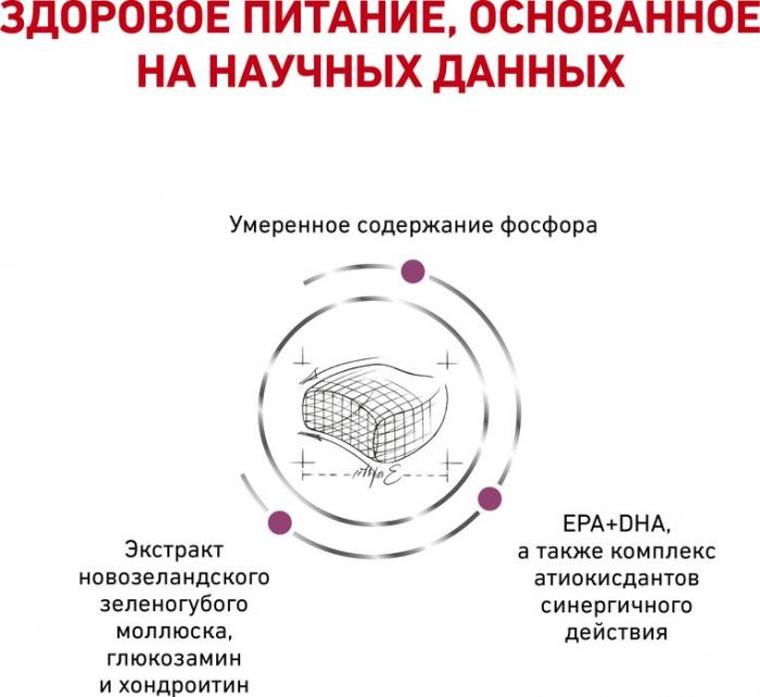 Royal Canin Early Renal сухой корм для кошек при хронической почечной недостаточности в ранней стадии