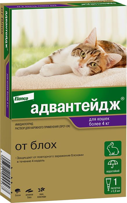 Elanco Адвантейдж капли на холку для котят и кошек более 4 кг, от блох, вшей, власоедов