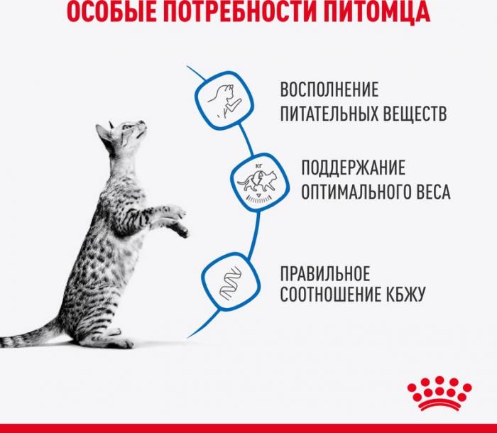 Royal Canin Indoor влажный корм для стерилизованных кошек, живущих в помещении, в соусе