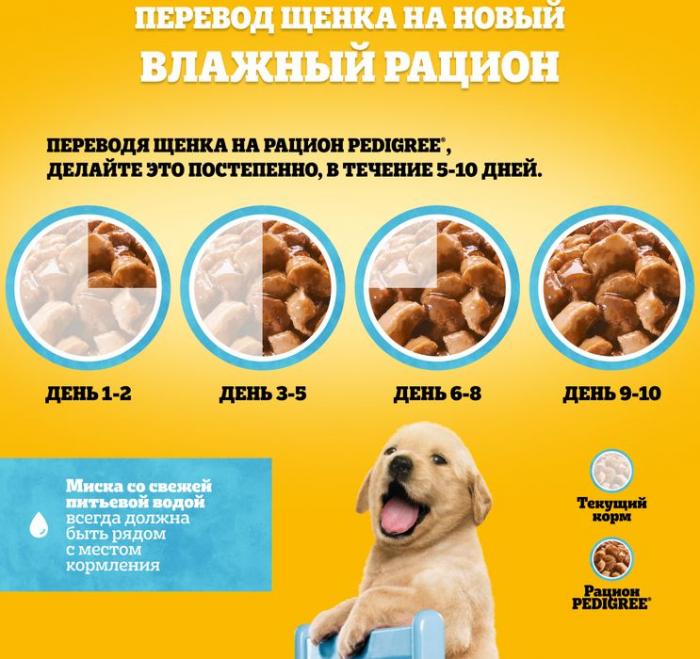 Pedigree влажный корм для щенков с говядиной в соусе