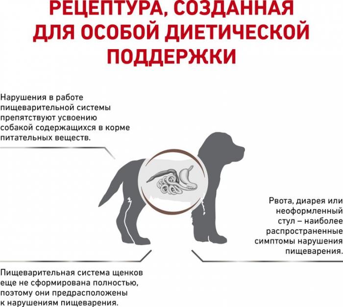 Royal Canin Gastro Intestinal Junior лечебный корм для щенков при нарушениях пищеварения