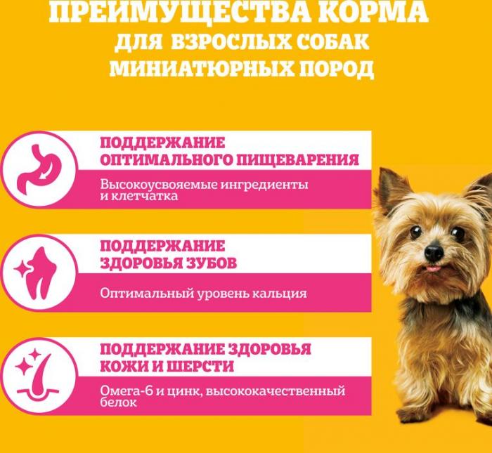 Pedigree корм для взрослых собак миниатюрных пород, говядина