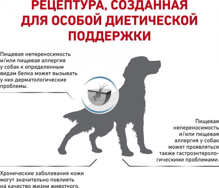 Royal Canin Anallergenic лечебный корм для собак при пищевой аллергии и непереносимости