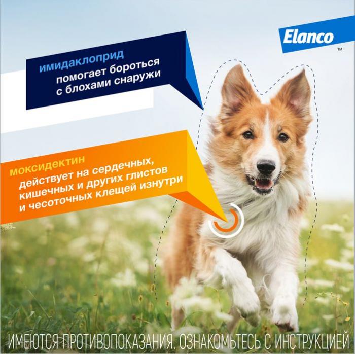 Elanco Адвокат капли для щенков и собак до 4 кг, от клещей, блох и гельминтов