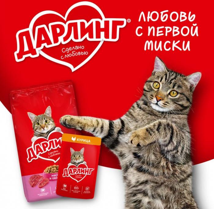 Влажный корм ДАРЛИНГ для взрослых кошек, с лососем в подливе