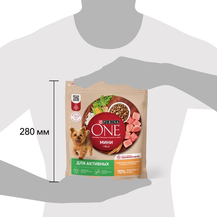 Сухой корм Purina ONE® для собак мелких пород с активным образом жизни, с высоким содержанием курицы и с рисом