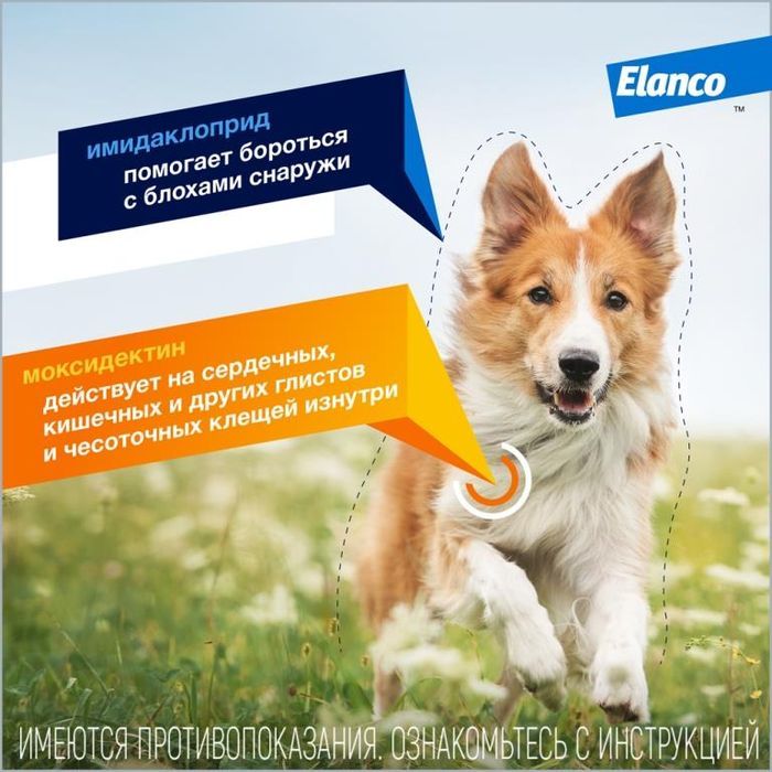 Elanco Адвокат капли для щенков и собак 4-10 кг, от клещей, блох и гельминтов