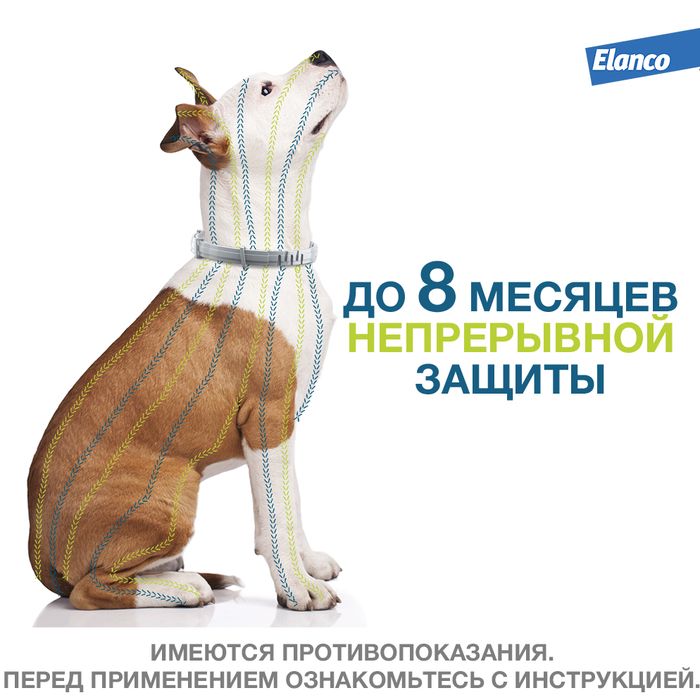 Elanco Форесто ошейник для щенков и собак менее 8 кг, от клещей и блох