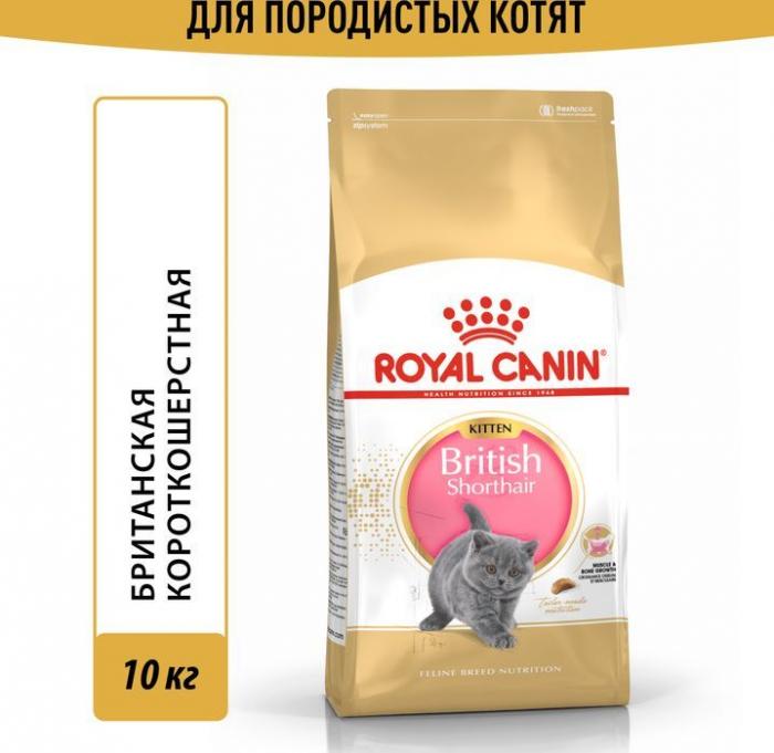 Royal Canin корм для котят породы Британская короткошёрстная