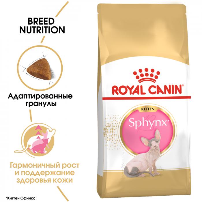 Royal Canin Kitten Sphynx сухой корм для котят породы сфинкс