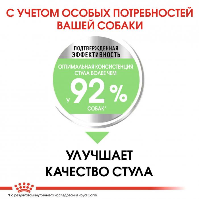 Royal Canin Mini Digestive Care сухой корм для собак мелких пород с чувствительным пищеварением с 10 месяцев до 8 лет