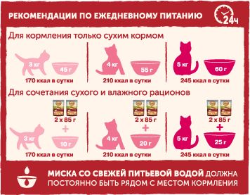 Nature`s Table Nature\'s Table сухой корм для взрослых кошек с курицей