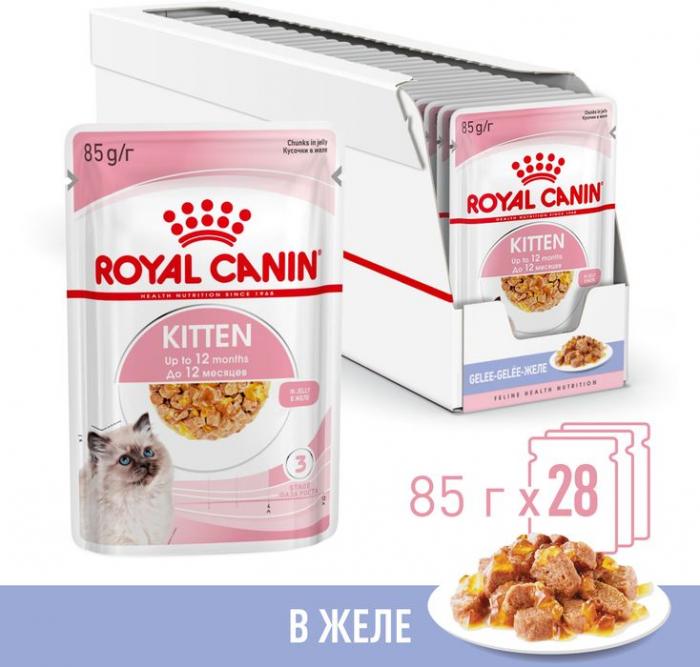 Royal Canin влажный корм для котят всех пород, в желе