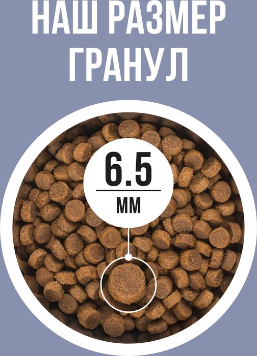 Bowl Wow корм для котят, с индейкой, курицей и добавлением черники