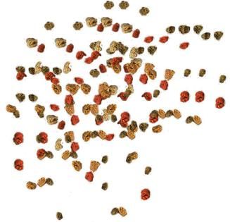 TetraMin Granules основной корм для декоративных рыб, гранулы