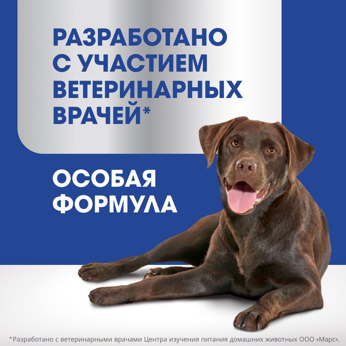 Perfect Fit Oral Care лакомство для собак средних и крупных пород, для поддержания здоровья зубов и полости рта, с говядиной и добавлением мяты