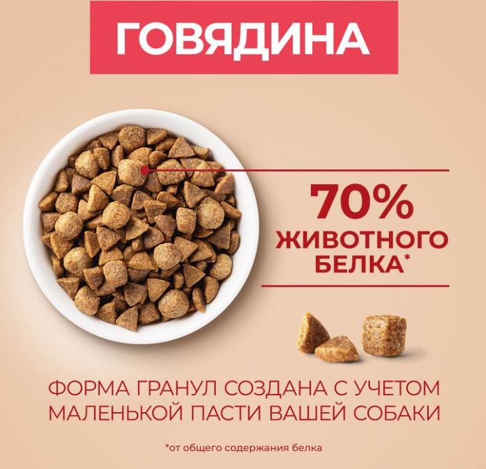 Сухой корм Purina ONE® для взрослых собак мелких и карликовых пород, с высоким содержанием говядины и с рисом