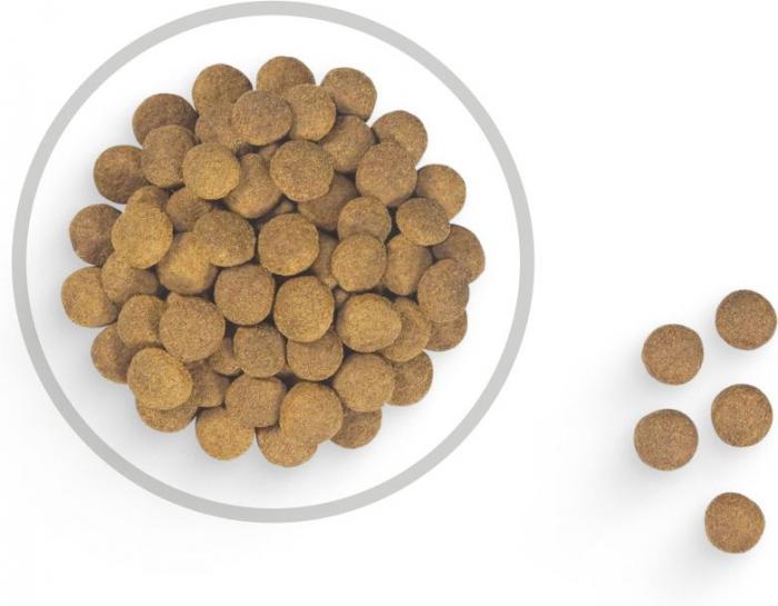 Royal Canin CC Club корм для взрослых собак с нормальной активностью
