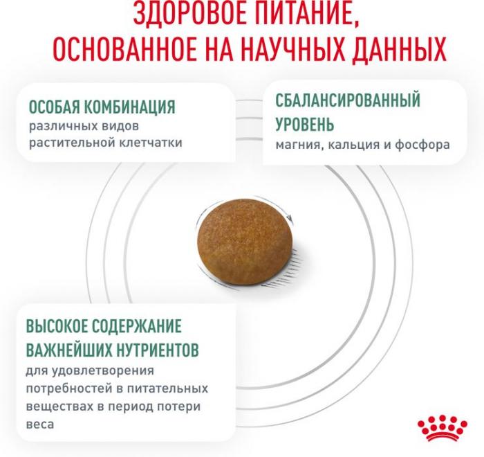 Royal Canin корм для взрослых собак малых пород, с избыточным весом