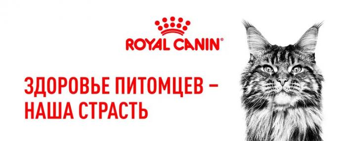 Royal Canin Sterilised 37 сухой корм для стерилизованных кошек и котов