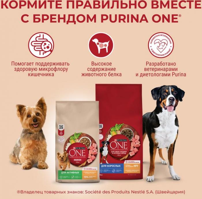 Сухой корм Purina ONE® для взрослых собак средних и крупных пород, с высоким содержанием ягненка и рисом
