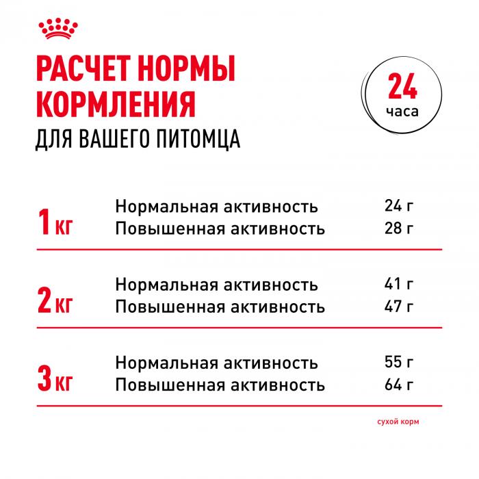 Royal Canin Chihuahua сухой корм для собак породы чихуахуа старше 8 месяцев