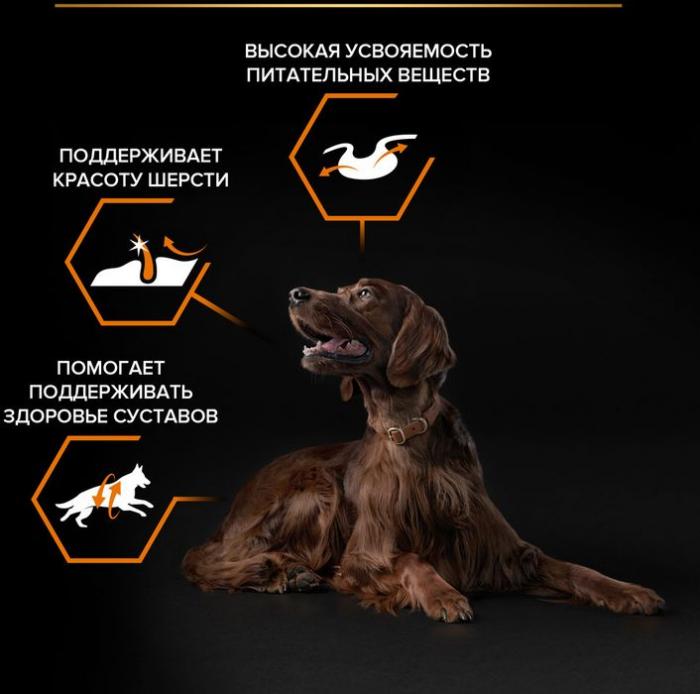 Сухой корм Pro Plan® Everyday Nutrition для взрослых собак крупных пород с атлетическим телосложением, с высоким содержанием курицы