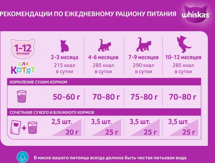 Whiskas сухой корм для котят с индейкой и морковью