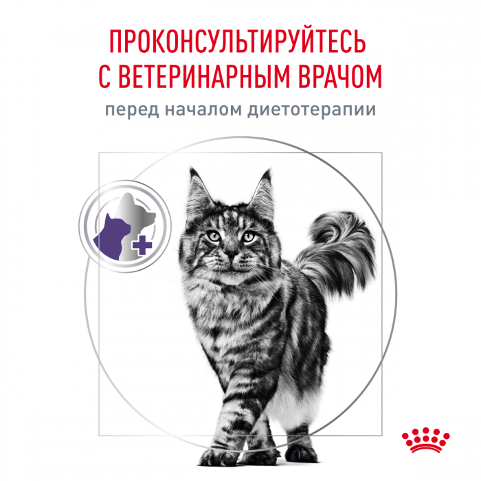Royal Canin Neutered Satiety Balance сухой корм для кошек, поддержание оптимальной формы после кастрации или стерилизации