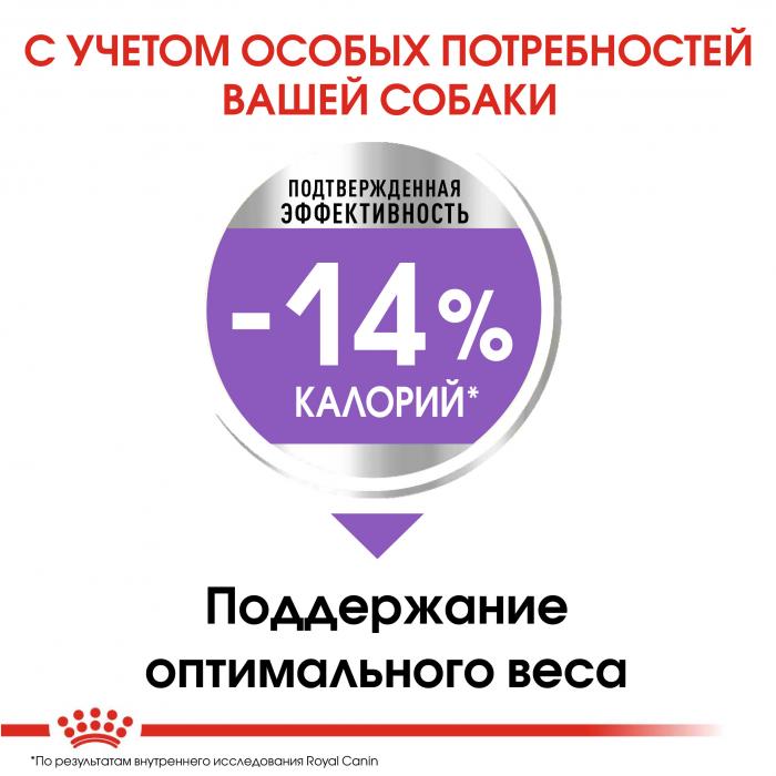 Royal Canin сухой корм для взрослых стерилизованных собак малых пород