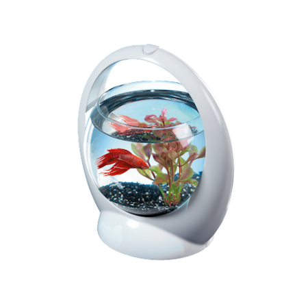 Tetra Betta Ring аквариум для сиамских петушков, белый