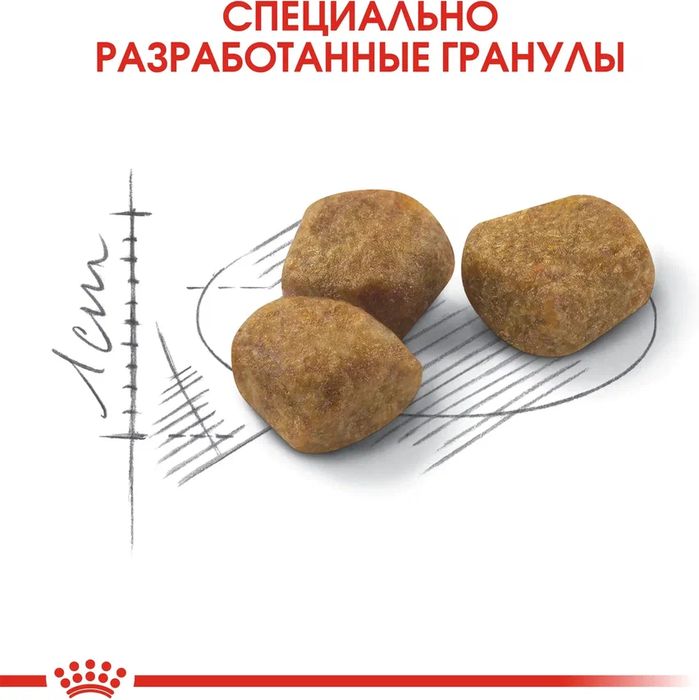 Royal Canin корм для пожилых кошек, живущих в помещении