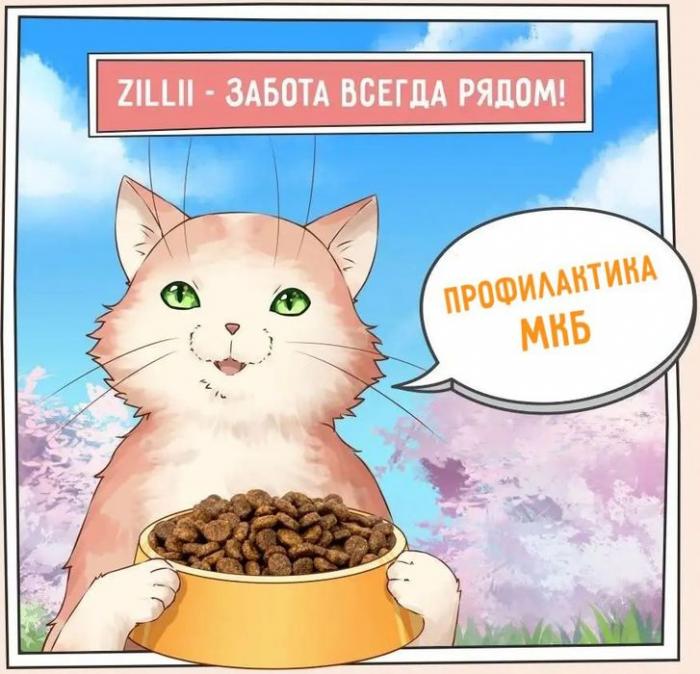 Zillii Urinary Care корм для взрослых кошек, РН контроль, индейка