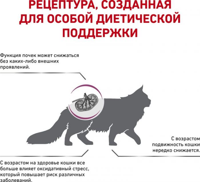 Royal Canin Early Renal сухой корм для кошек при хронической почечной недостаточности в ранней стадии