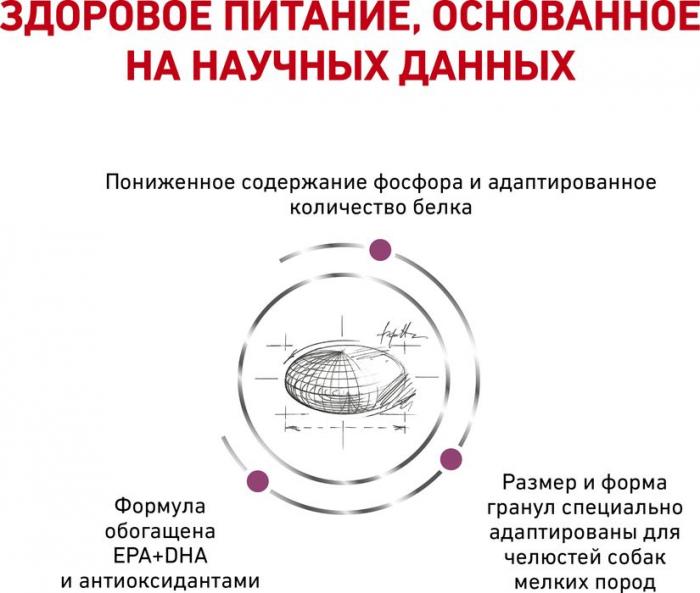Royal Canin Renal Small Dog сухой корм для собак мелких пород при заболеваниях почек