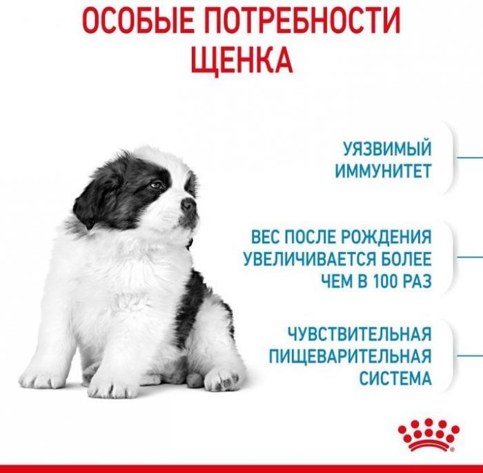 Royal Canin корм для щенков гигантских пород (с 2 до 8 месяцев)