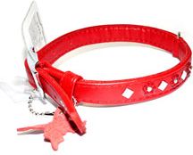 Collar Ошейник для собак со стразами красный 10мм*19-25см