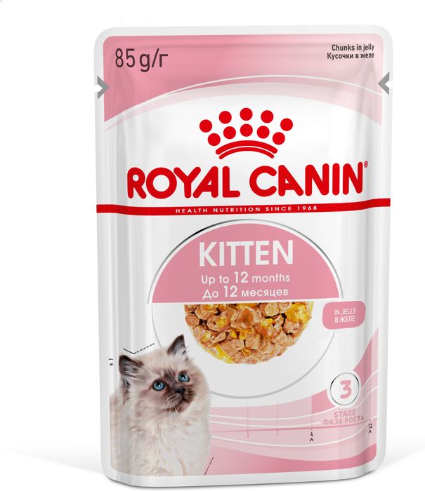 Royal Canin влажный корм для котят всех пород, в желе
