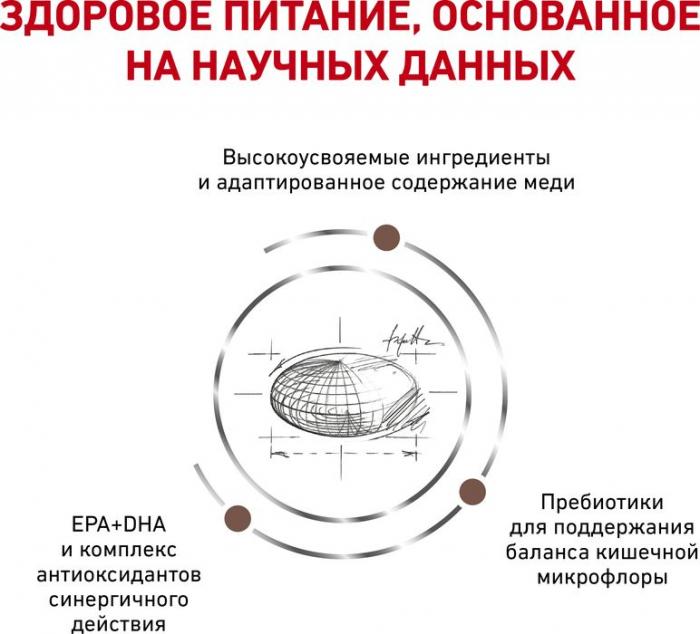 Royal Canin Hepatic лечебный корм для кошек при болезнях печени