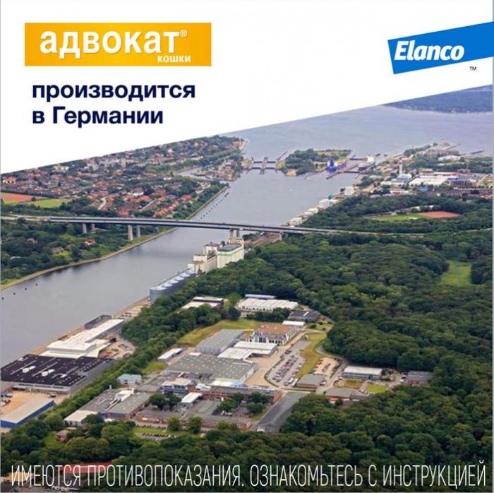 Elanco Адвокат капли на холку для котят и кошек до 4 кг, от клещей и блох