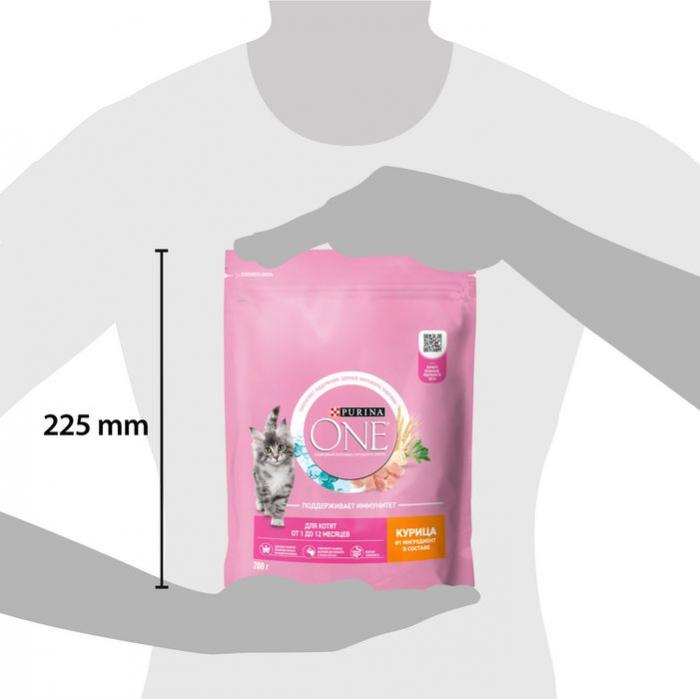 Сухой корм Purina ONE® полнорационный для котят, с высоким содержанием курицы