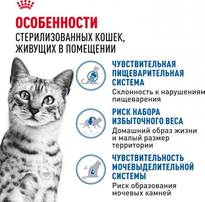 Royal Canin Indoor Sterilised влажный корм для стерилизованных кошек, живущих в помещении, кусочки в желе