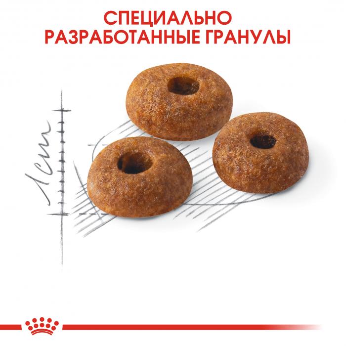 Royal Canin Fit сухой корм для кошек с умеренной активностью