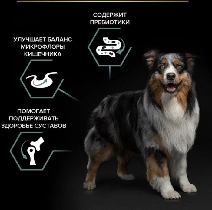 Сухой корм Pro Plan® Sensitive Digestion для взрослых собак средних пород с чувствительным пищеварением, с высоким содержанием ягненка