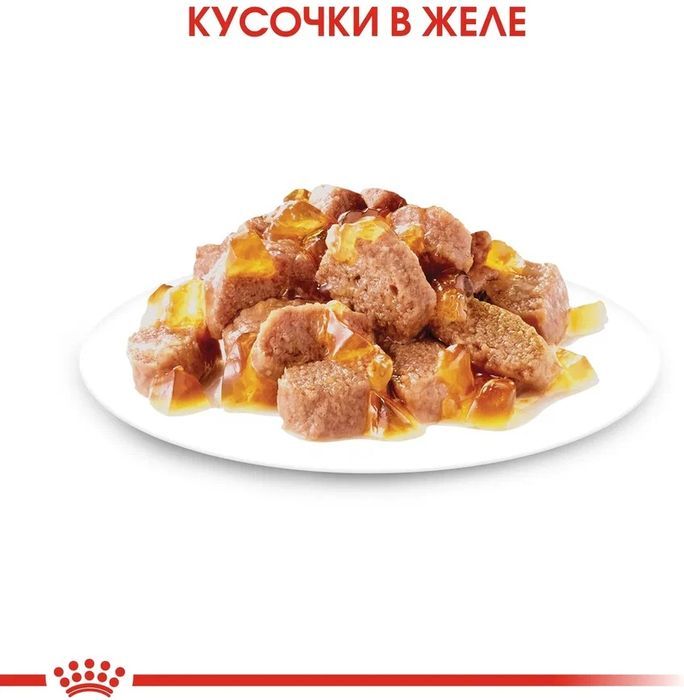 Royal Canin влажный корм для стерилизованных взрослых кошек всех пород, кусочки в желе