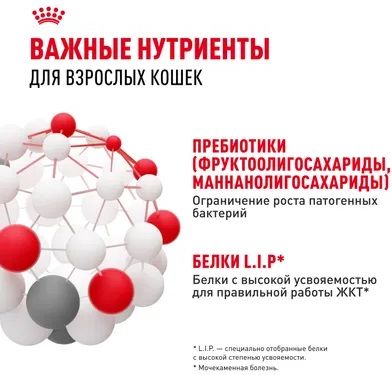 Royal Canin Digestive Care корм для взрослых кошек всех пород, с чувствительной пищеварительной системой