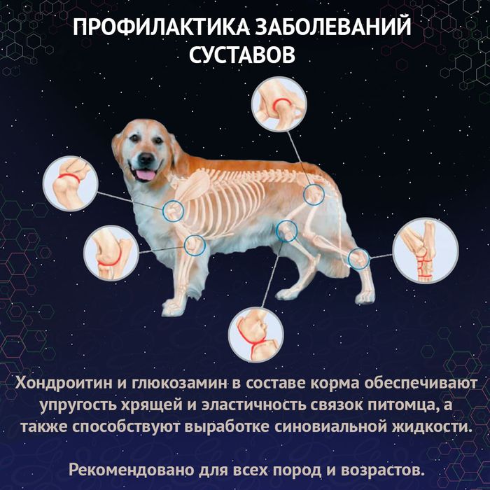 Prime Ever корм для собак средних и крупных пород, индейка с рисом
